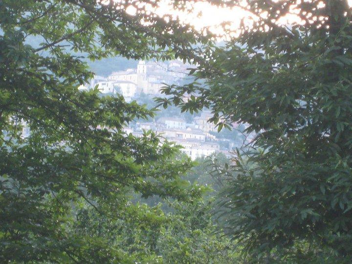 Myriam Country House B&B Mercogliano Ngoại thất bức ảnh